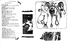 issue-8-03
