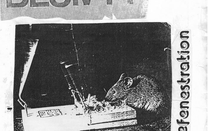 issue 2 cover shows mouse sniffing a mousetrap